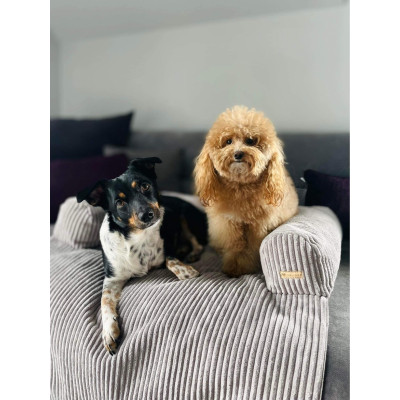 Lit confortable pour le chien Lit confortable pour le chien